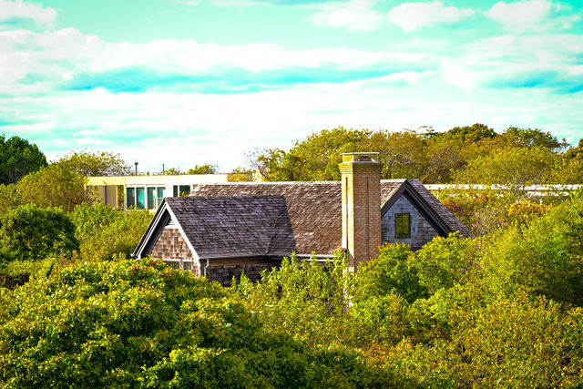 Traditional Shingles